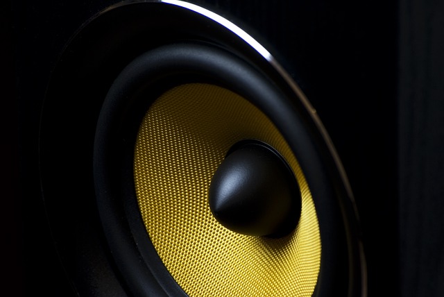 monitor dj